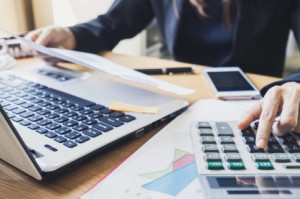 المبادئ المحاسبية للاستدامة المالية